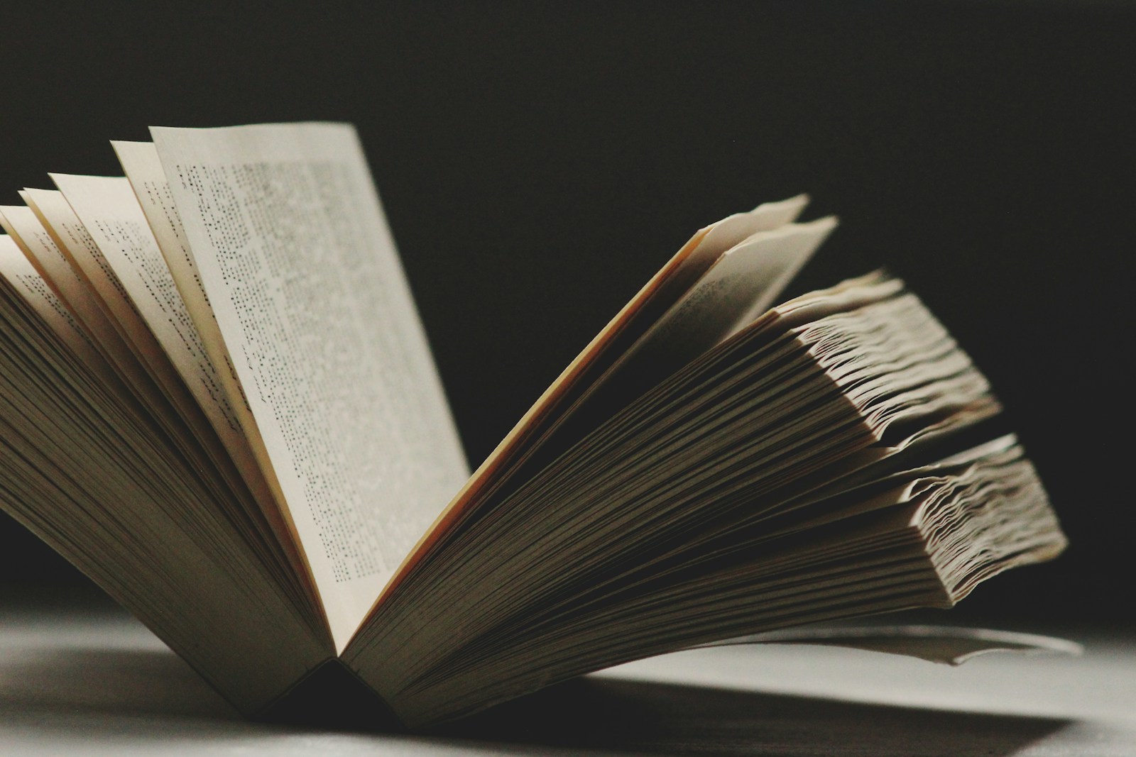 1790595961-4621-8843-lxb_photo6H9H-tYPUQQlxb_photo-